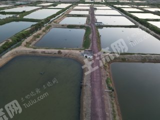 阳江江城区1200亩坑塘水面经营权出租
