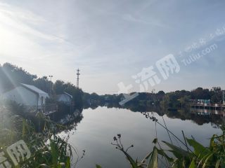杭州钱塘区80亩公园与绿地使用权出租