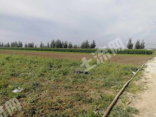 潍坊寿光市10亩设施农用地经营权合作