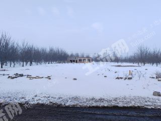 长治屯留区70亩其它林地经营权出租