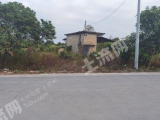 广州从化区城郊街2亩建筑果园地使用权长期出租