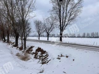 长治长子县30亩水浇地经营权出租