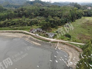 惠州周边3亩农家庭院使用权出租