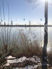 新乡获嘉县50亩鱼塘经营权出租XX1796