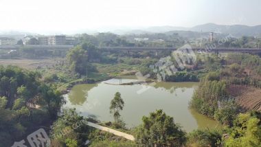 南宁江南区5亩坑塘水面经营权出租