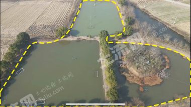 宁波余姚市11亩坑塘水面经营权出租