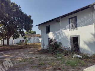 惠城马安带菜地的农房使用权出租