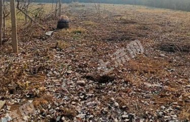 淄博博山区200亩果园经营权出租