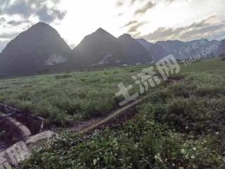 河池罗城仫佬族自治县4000亩旱地经营权出租