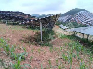 崇左江州区 2000亩 旱地 经营权出租