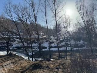 长治武乡县1100亩灌木林地经营权出租