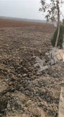 洛阳汝阳县180亩水浇地经营权出租