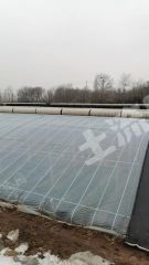 长治上党区8个大棚经营权出租