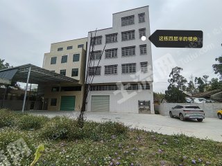 惠城汝湖独栋带大院子使用权出租