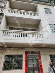 惠景区周边路边3层农房使用权出租