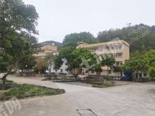 惠州市近深100亩农庄带鱼塘果园使用权出租