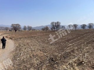 长治襄垣县200亩旱地经营权出租