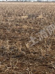 长治长子县200亩水浇地经营权出租