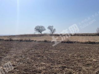 长治襄垣县200亩旱地经营权出租