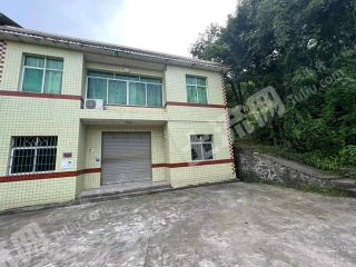 重庆九龙坡区 250平方米 农村宅基地 使用权出租