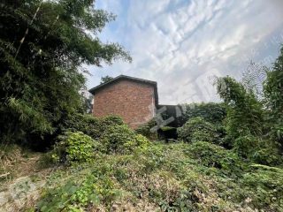 重慶北碚區(qū)150平方米農(nóng)村宅基地使用權(quán)出租