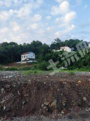 重庆九龙坡区250平方米农村宅基地使用权出租