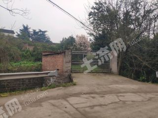 重慶北碚區(qū)15畝土地帶兩棟建筑使用權(quán)流轉(zhuǎn)