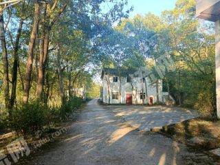 重庆长寿区5000平方米农村宅基地使用权流转，价格面议