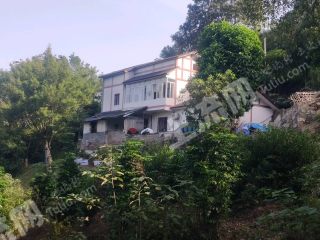 重慶南岸區(qū)160平方米農(nóng)村宅基地使用權(quán)出租