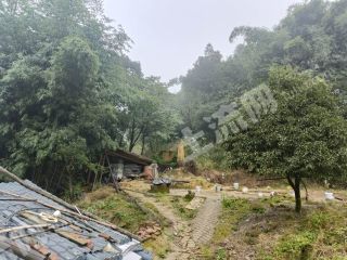 重慶江北區(qū)150平方米農(nóng)村宅基地使用權(quán)流轉(zhuǎn)