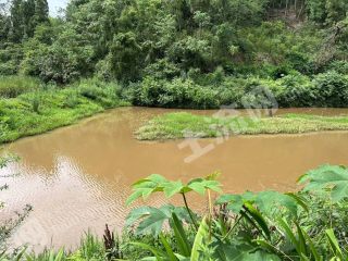 重庆荣昌区60亩虾塘经营权出租