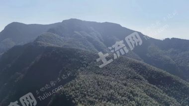 宜宾珙县珙泉镇120亩楠竹林地经营权转让