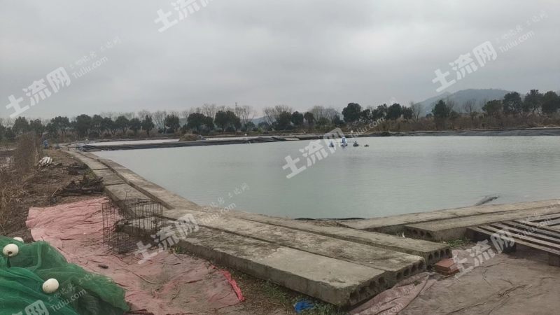 宁波江北区20亩坑塘水面经营权出租