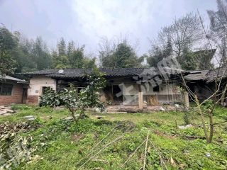 重庆璧山区180平方米农村宅基地使用权出租