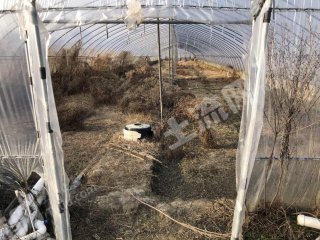 嘉兴海宁市1亩水浇地经营权出租