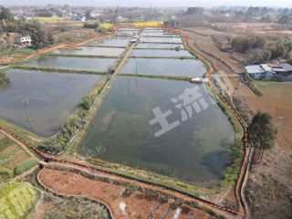 青白江区 70亩坑塘水面经营权转让
