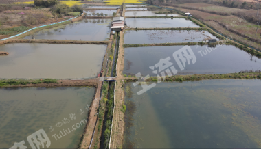 成都青白江区70亩坑塘水面经营权出租
