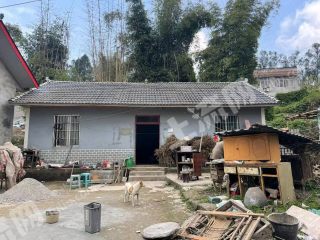 重慶璧山區(qū)70平方米農(nóng)村宅基地使用權(quán)出租