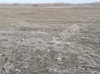 安阳安阳县430亩水浇地经营权出租