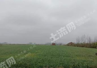 信阳息县222亩水浇地经营权出租