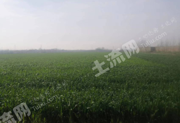 信阳罗山县1060亩水浇地经营权出租