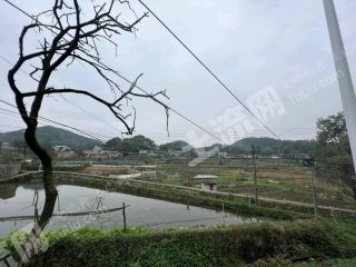 重庆九龙坡区200平方米农村宅基地使用权出租有鱼塘