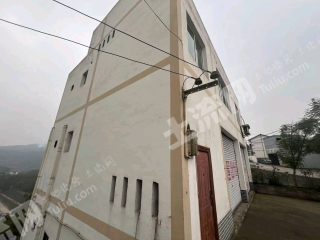 重慶南岸區(qū)300平方米農(nóng)村宅基地使用權(quán)出租