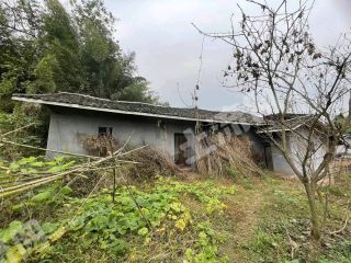 重慶璧山區(qū)90平方米農(nóng)村宅基地使用權(quán)出租