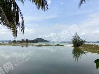 海南陵水黎族自治縣2畝農(nóng)村宅基地使用權(quán)出租