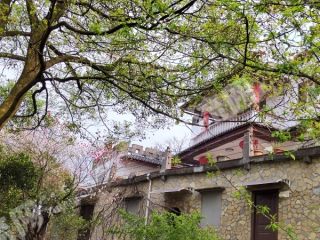 重慶合川區(qū)30畝農(nóng)村宅基地使用權(quán)出租