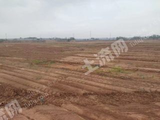 郑州惠济区130亩水浇地经营权出租