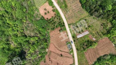 重庆潼南区500亩退耕还林地经营权出租