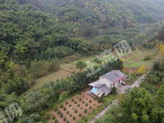 邛崃山区避暑临溪小院使用权出租