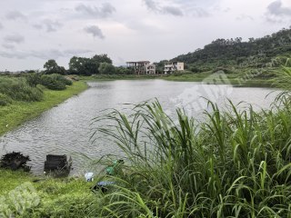 惠州近深100亩坑塘水面经营权出租